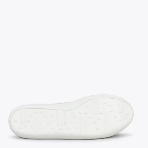 MiMaO ShopOnline BAOBAB – Tennis à Lacets En Toile De Coton De IO&GO LILA 16