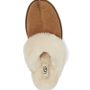 UGG Chaussons Scufette Chesnut 16